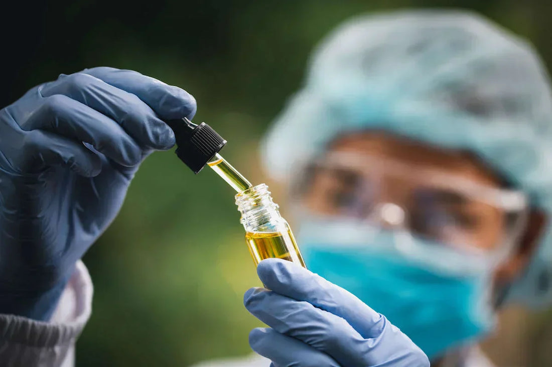 Estados Unidos reconoce el potencial del CBD: qué significa la reforma del cannabis y por qué marca el futuro de la salud natural